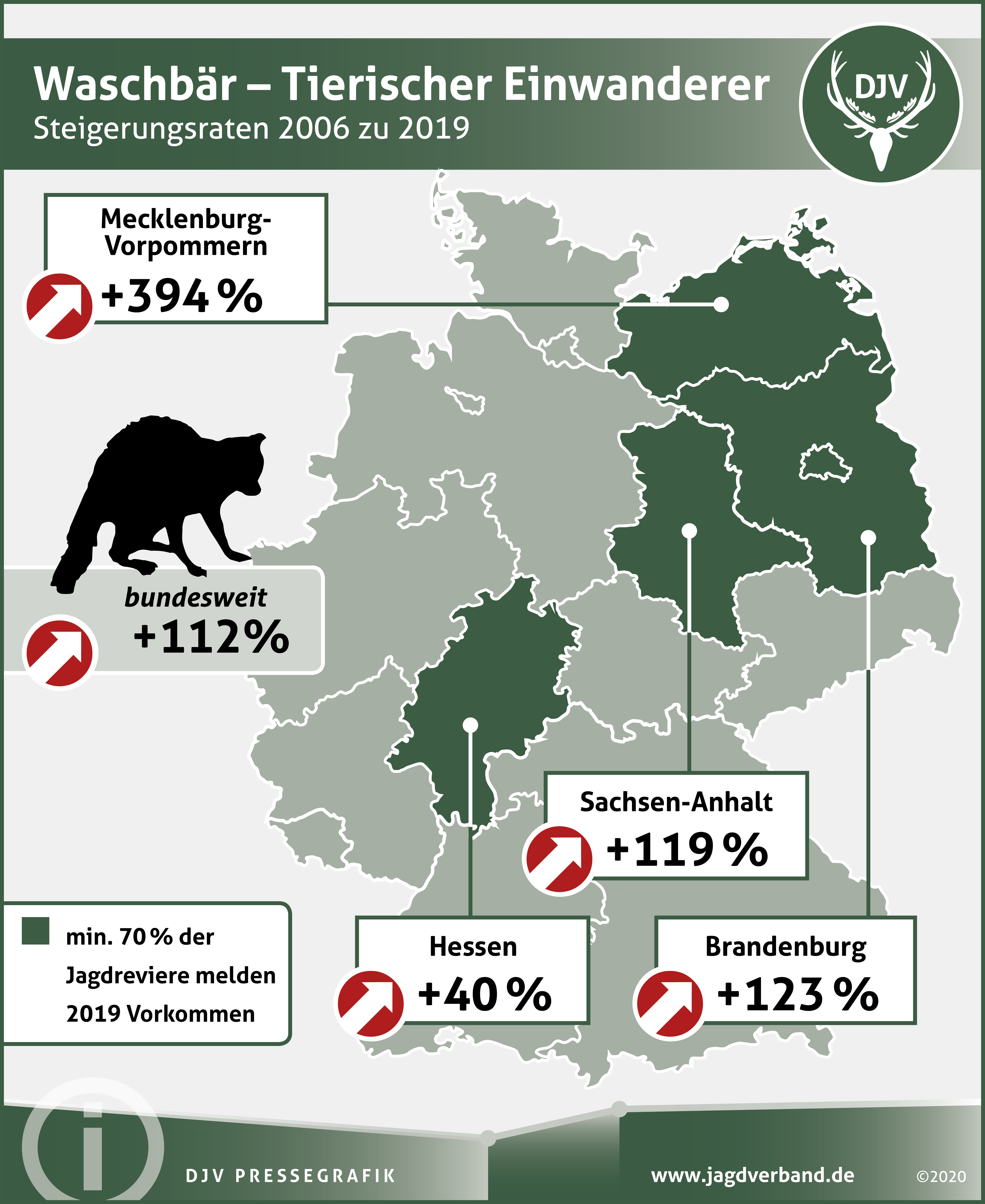 Studie zeigt: Waschbären breiten sich im Landkreis aus