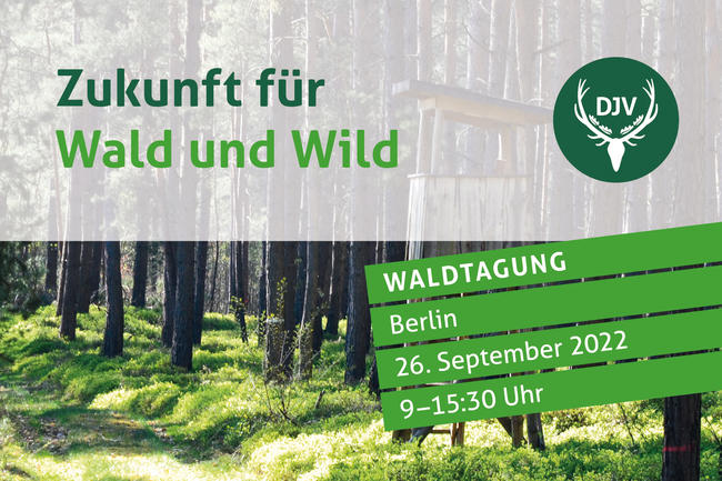 Ziel der Waldtagung 2022: Ansatzpunkte für eine konfliktfreie Forst- und Jagdnutzung schaffen.