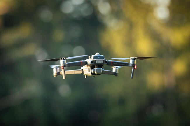 Drohnen für die Kitzrettung dürfen jetzt auch zur Suche von verendeten Wildschweinen eingesetzt werden. DJV begrüßt BLE-Entscheidung.