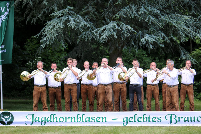 Die Sieger in der Klasse Es: Bläsergruppe Alsdorf-Hachenburg beim Bundeswettbewerb Jagdhornblasen 2017