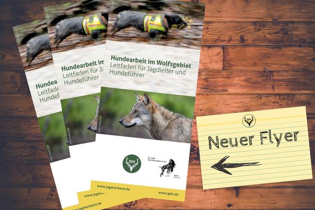 Der Flyer gibt Hinweise zu Planung und Durchführung einer Jagd  im Wolfsgebiet.