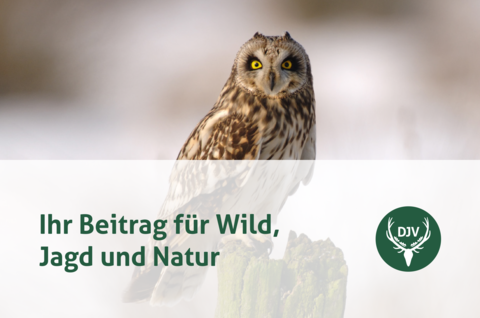Cover: Broschüre Ihr Beitrag für Wild Jagd und Natur