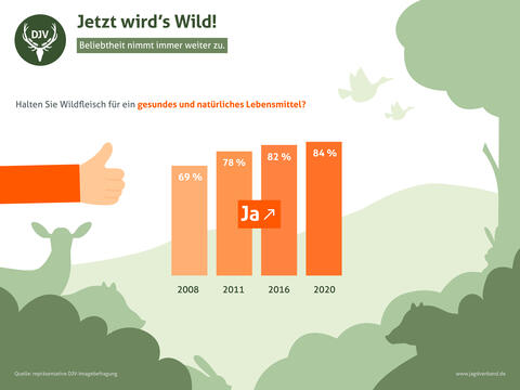 Wildbret immer beliebter: Entwicklung von 2008 bis 2020