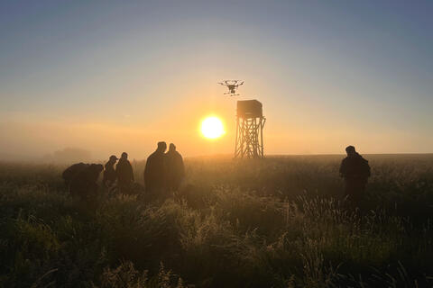 Jungwildrettungsteam Sonnenaufgang