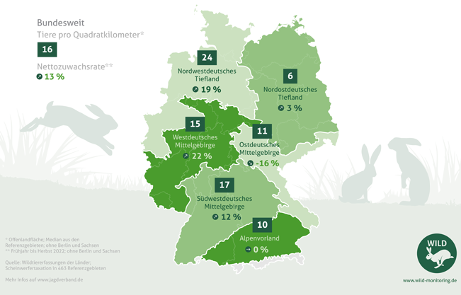 Infografik Feldhasenbestand